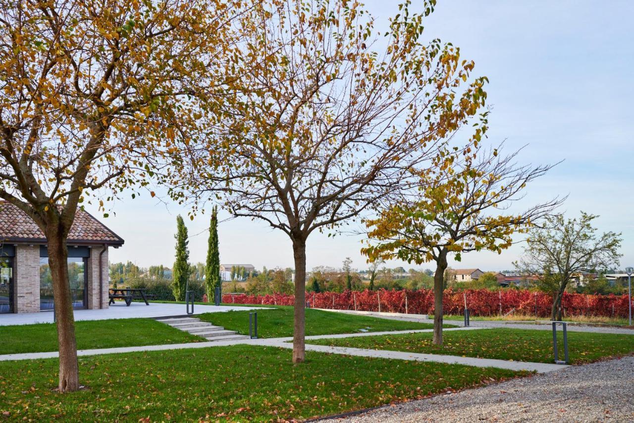 Agriturismo La Razza Reggio Emilia Exteriér fotografie